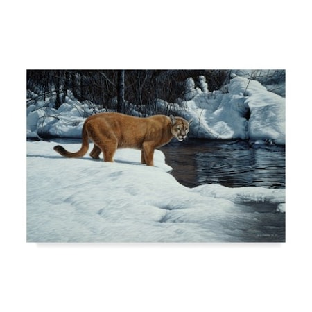 Ron Parker 'Waters Edge Cougar' Canvas Art,22x32